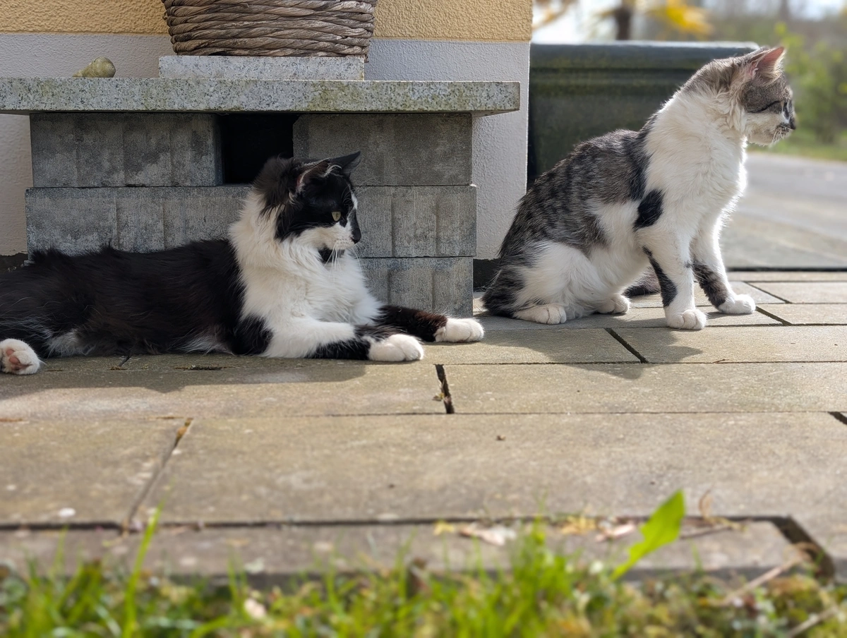 Aufgabenbild 5 von 5